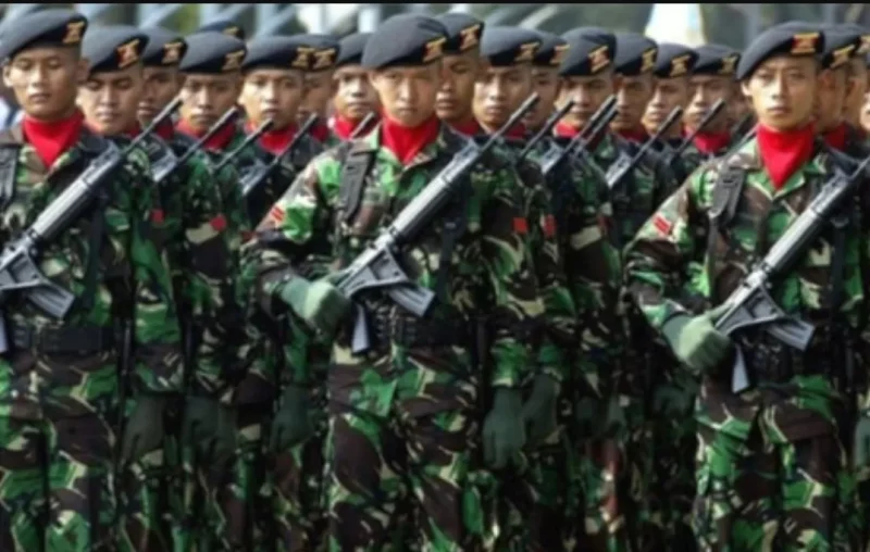 TNI AD. (Ist)
