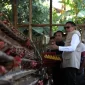 Wali Kota dan Wakil Wali Kota Malang kunjungi lahan pertanian cabai dan peternakan ayam petelur di Kelurahan Wonokoyo, Kecamatan Kedungkandang. (Ist)