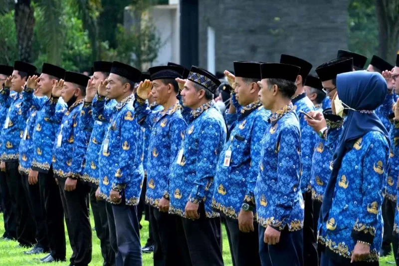 ASN. (ANTARA)